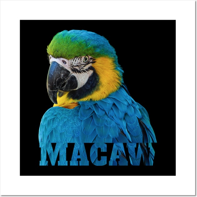 Beautiful Blue and Gold Macaw Parrot Image and Word Wall Art by Einstein Parrot
